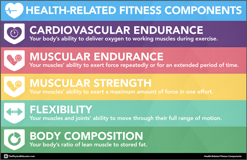 Health related fitness components infographic